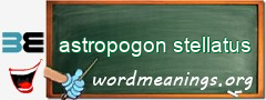 WordMeaning blackboard for astropogon stellatus